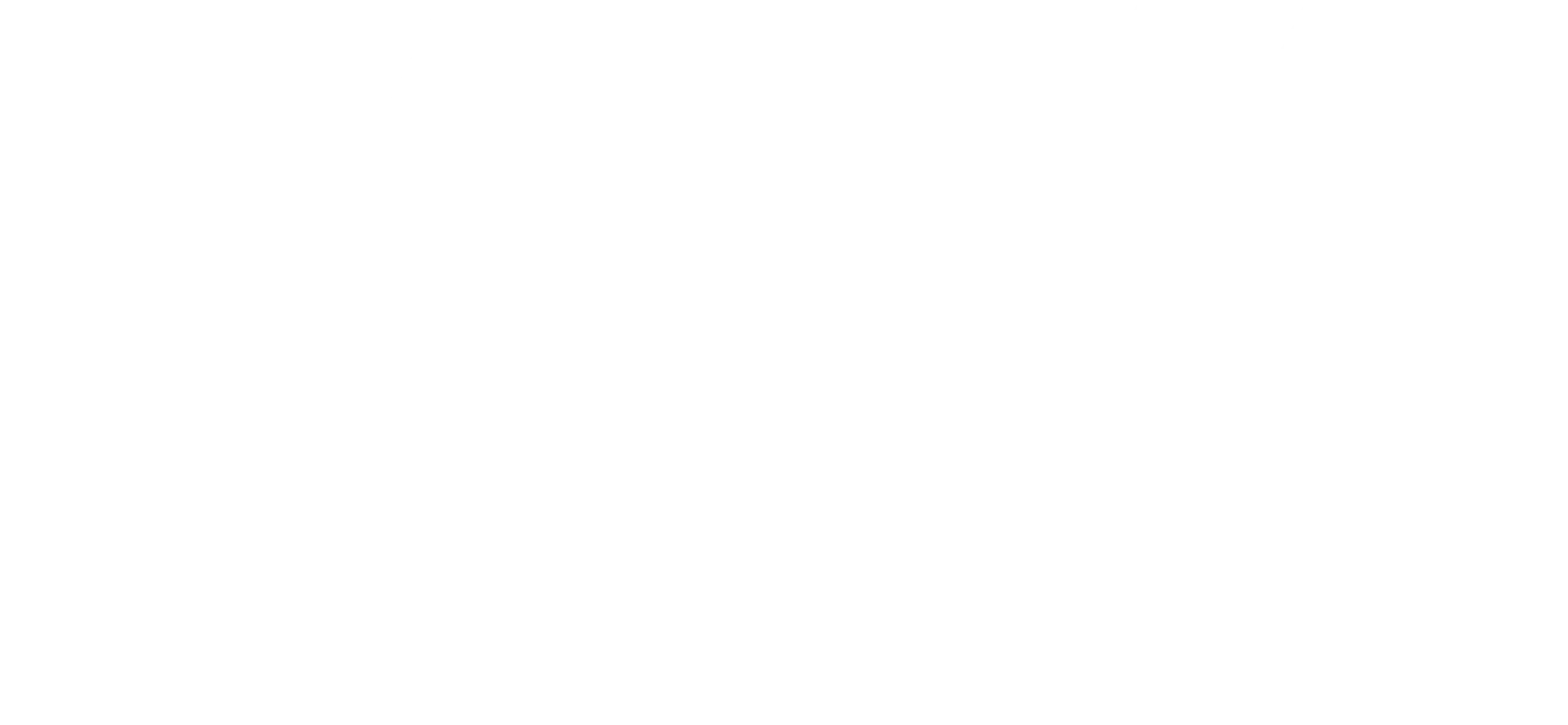 VIVA Telecom Blanco